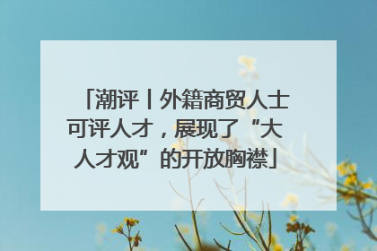 潮评丨外籍商贸人士可评人才，展现了“大人才观”的开放胸襟
