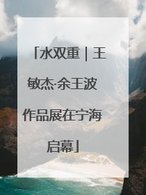 水双重｜王敏杰·余王波作品展在宁海启幕