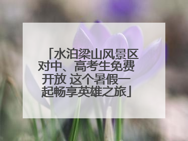 水泊梁山风景区对中、高考生免费开放 这个暑假一起畅享英雄之旅