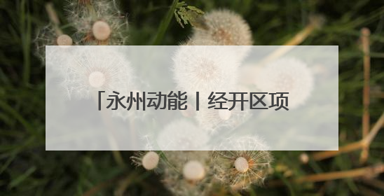 永州动能丨经开区项目建设“加速跑” 经济发展“再提速”