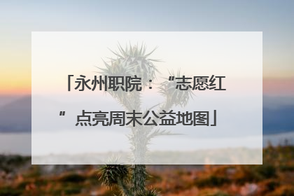 永州职院：“志愿红”点亮周末公益地图
