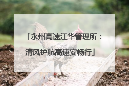 永州高速江华管理所：清风护航高速安畅行
