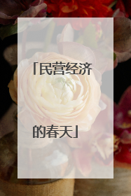 民营经济的春天