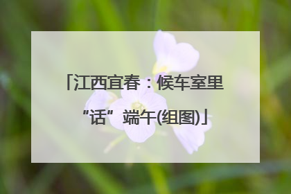 江西宜春：候车室里“话”端午(组图)