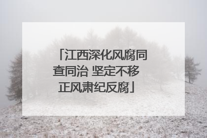 江西深化风腐同查同治 坚定不移正风肃纪反腐