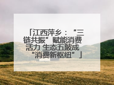 江西萍乡：“三链共振”赋能消费活力 生态五陂成“消费新枢纽”