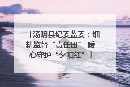 汤阴县纪委监委：细耕监督“责任田” 暖心守护“夕阳红”