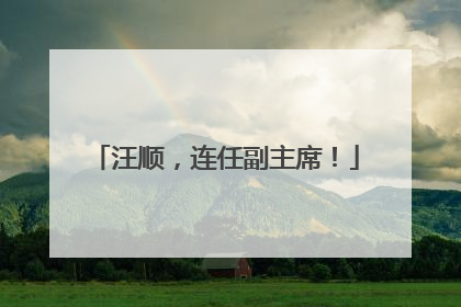 汪顺，连任副主席！