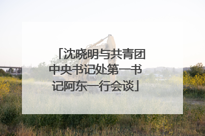 沈晓明与共青团中央书记处第一书记阿东一行会谈