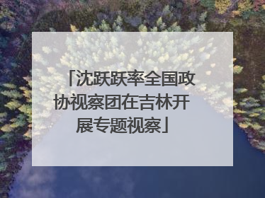 沈跃跃率全国政协视察团在吉林开展专题视察