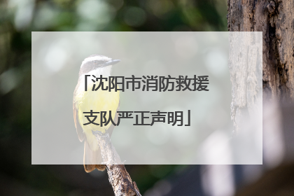 沈阳市消防救援支队严正声明
