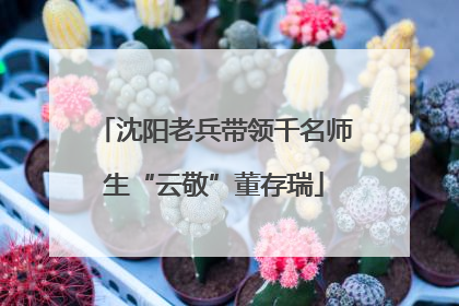 沈阳老兵带领千名师生“云敬”董存瑞