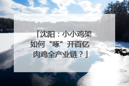 沈阳：小小鸡架如何“啄”开百亿肉鸡全产业链？