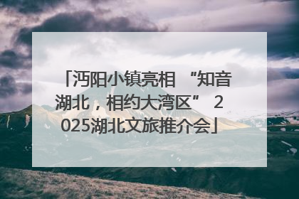 沔阳小镇亮相 “知音湖北，相约大湾区” 2025湖北文旅推介会