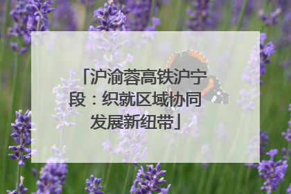 沪渝蓉高铁沪宁段：织就区域协同发展新纽带