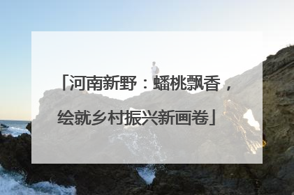 河南新野：蟠桃飘香，绘就乡村振兴新画卷