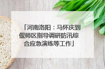 河南洛阳：马怀庆到偃师区指导调研防汛综合应急演练等工作