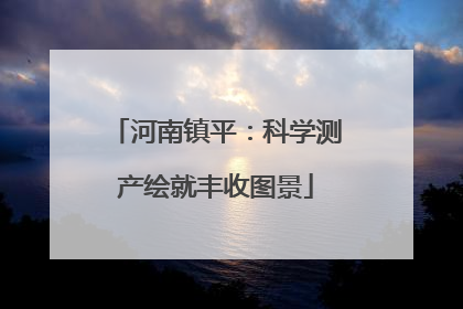 河南镇平：科学测产绘就丰收图景