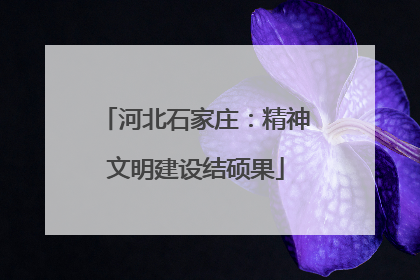 河北石家庄：精神文明建设结硕果