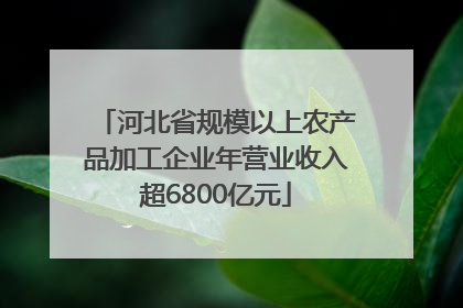 河北省规模以上农产品加工企业年营业收入超6800亿元