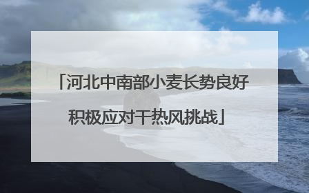 河北中南部小麦长势良好 积极应对干热风挑战