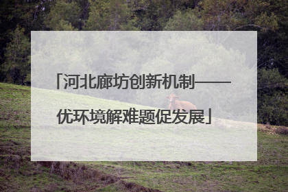 河北廊坊创新机制——优环境解难题促发展