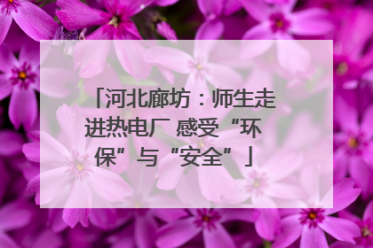 河北廊坊：师生走进热电厂 感受“环保”与“安全”