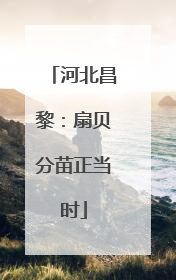 河北昌黎：扇贝分苗正当时