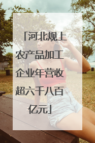 河北规上农产品加工企业年营收超六千八百亿元