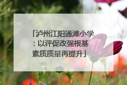 泸州江阳通滩小学：以评促改强根基 素质质量再提升