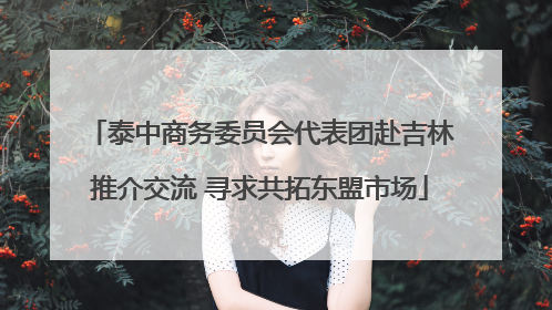 泰中商务委员会代表团赴吉林推介交流 寻求共拓东盟市场