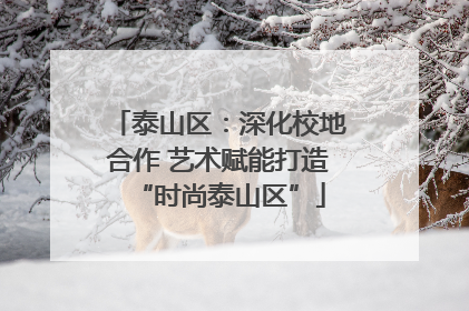泰山区：深化校地合作 艺术赋能打造“时尚泰山区”
