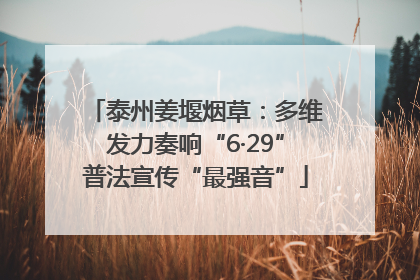 泰州姜堰烟草：多维发力奏响“6·29”普法宣传“最强音”