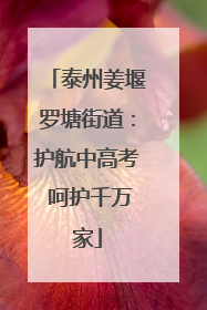 泰州姜堰罗塘街道：护航中高考 呵护千万家