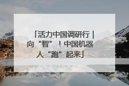 活力中国调研行｜向“智”！中国机器人“跑”起来