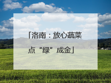 洛南：放心蔬菜点“绿”成金