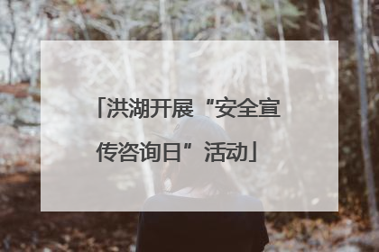 洪湖开展“安全宣传咨询日”活动