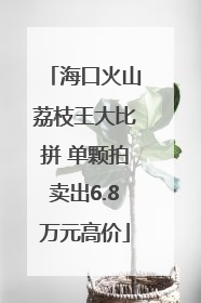 海口火山荔枝王大比拼 单颗拍卖出6.8万元高价