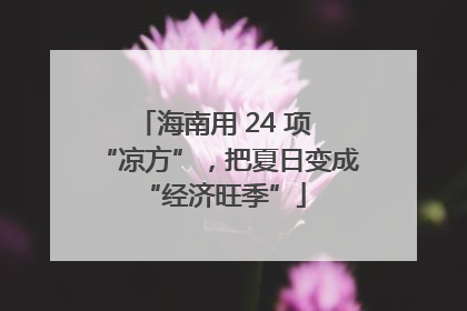 海南用 24 项 “凉方”，把夏日变成 “经济旺季”