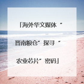海外华文媒体“晋南粮仓”探寻“农业芯片”密码