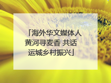 海外华文媒体人黄河寻麦香 共话运城乡村振兴