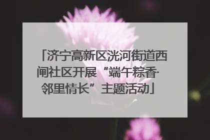 济宁高新区洸河街道西闸社区开展“端午粽香·邻里情长”主题活动