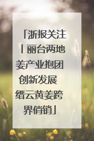 浙报关注丨丽台两地姜产业抱团创新发展 缙云黄姜跨界俏销