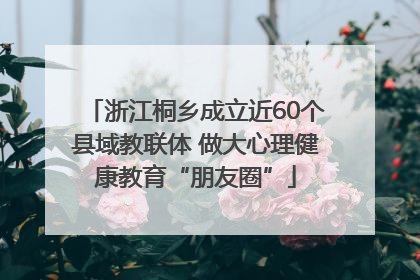 浙江桐乡成立近60个县域教联体 做大心理健康教育“朋友圈”