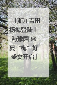 浙江青田杨梅登陆上海豫园 盛夏“梅”好盛宴开启