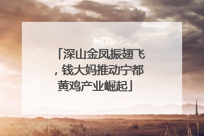 深山金凤振翅飞，钱大妈推动宁都黄鸡产业崛起