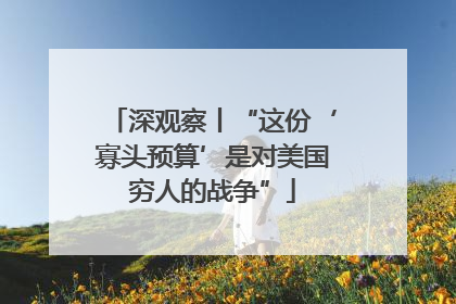 深观察丨“这份‘寡头预算’是对美国穷人的战争”
