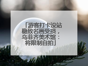游客打卡没站稳致名画受损，乌菲齐美术馆：将限制自拍