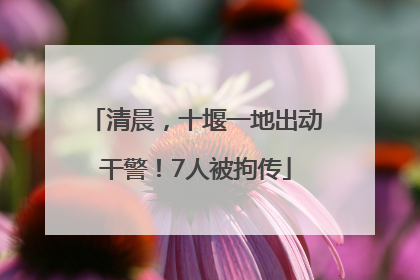 清晨，十堰一地出动干警！7人被拘传