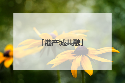 港产城共融